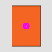 Picture of Adhesive Labels 210x280 [1] Orange