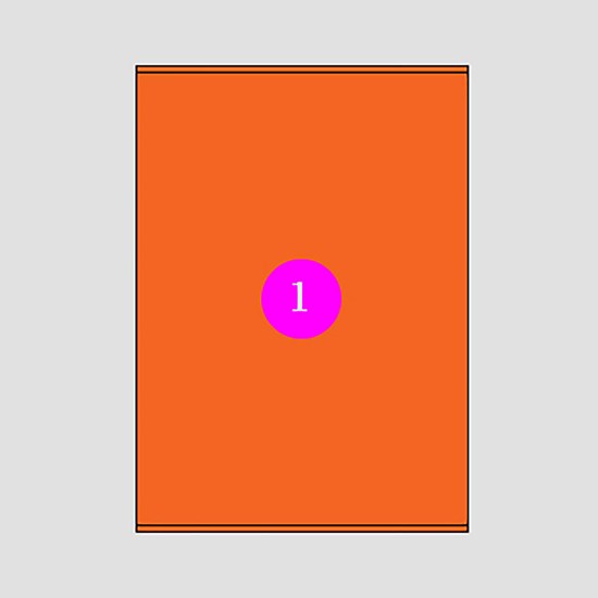 Picture of Adhesive Labels 210x280 [1] Orange