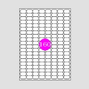 Picture of Adhesive Labels CD 116x41 (2)
