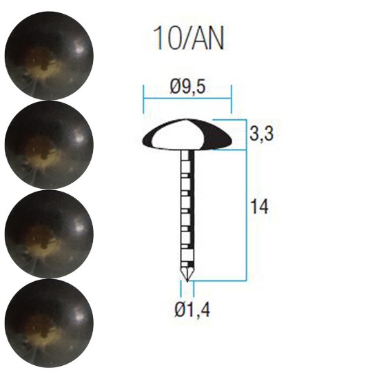 Εικόνα της Καπαράς 10άρης ξεθωριασμένος σπειρωειδής