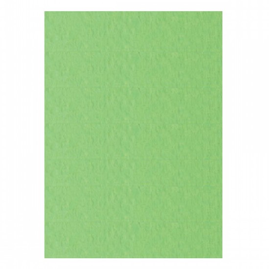 Picture of 10 Cardboards 220g/m2 series PRISMACOLOR 220 SIGILLO Pistachio 18 - 70x100 - T1