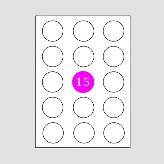 Picture of Adhesive Labels Φ50 (15)